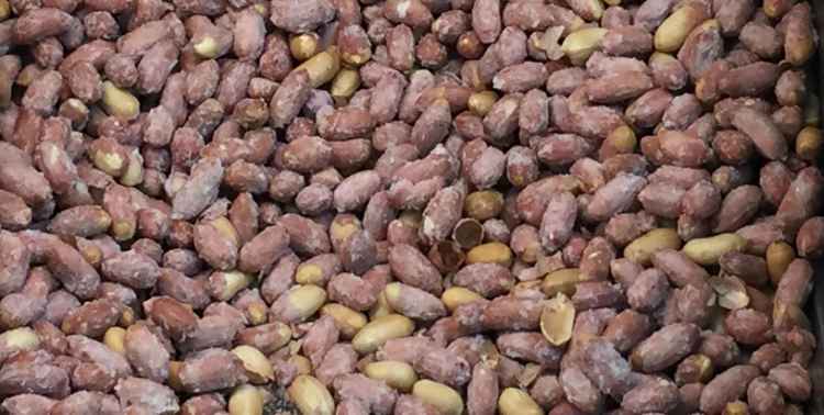 peanuts
